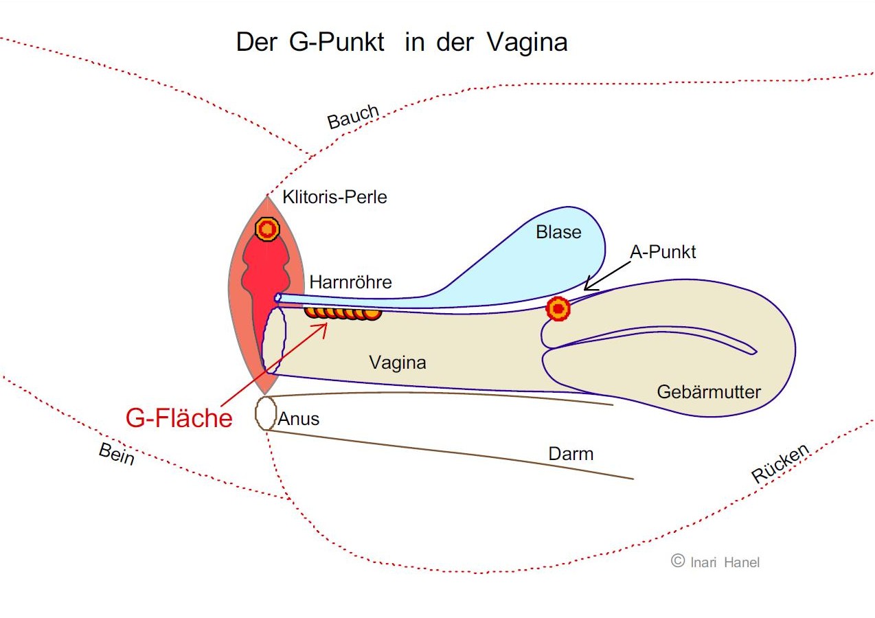 Vagina ejakulieren in Ängstliche Penetration